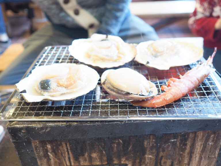 Hachinohe with Kids: Riding the Hayabusa & Visiting Hasshoku Center