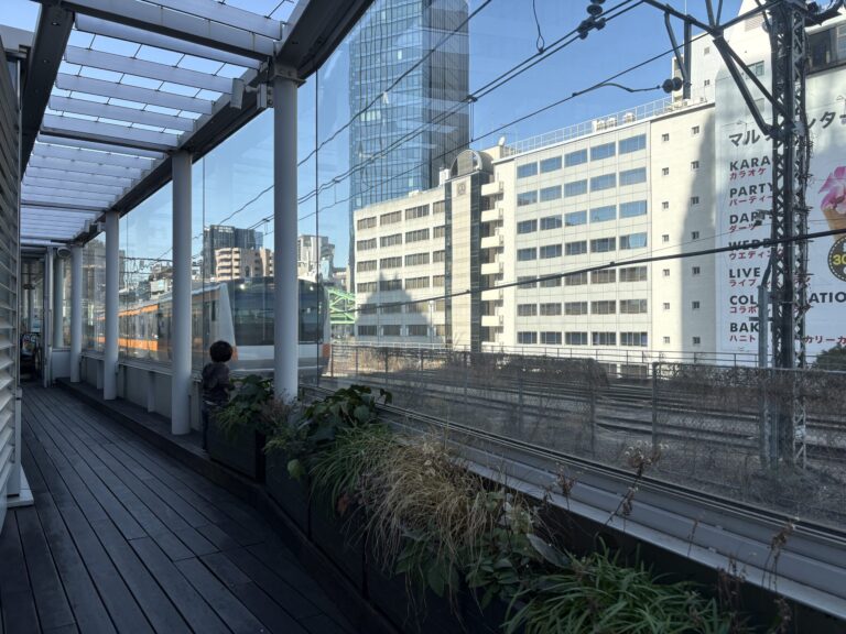 5 Free Train Watching Spots in Tokyo for Kids