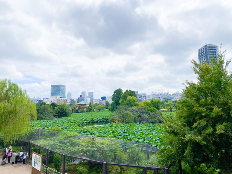Ueno Zoo with Kids: A Local Mom’s Guide