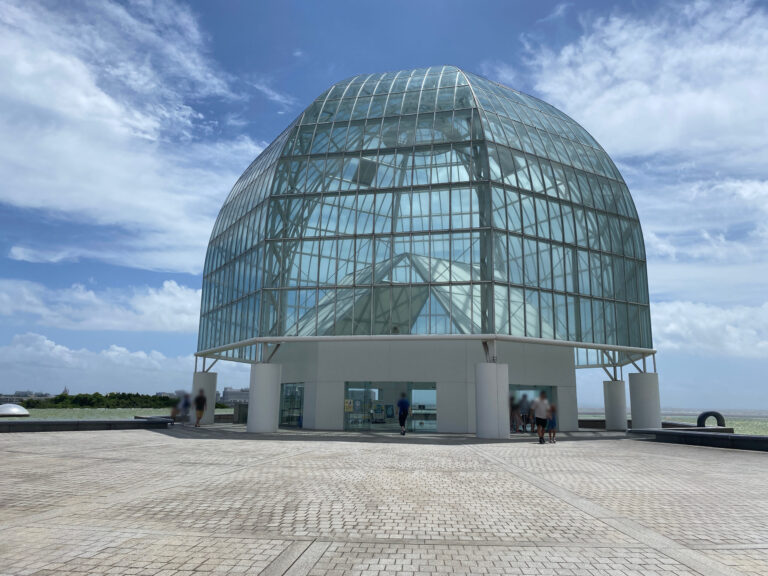 Tokyo Aquariums with Kids: The Full Comparison Guide