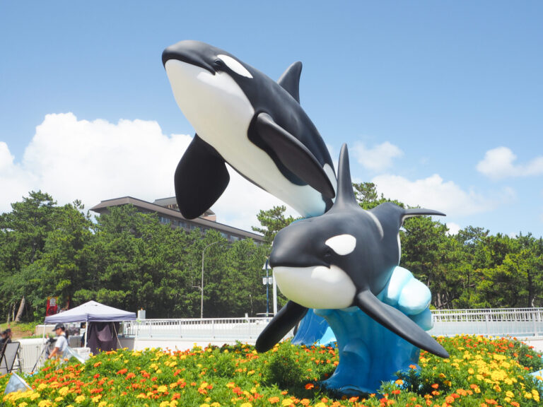 Kamogawa Sea World with Kids: A Local Mom’s Guide (Killer Whales, Shows & Getting Soaked)