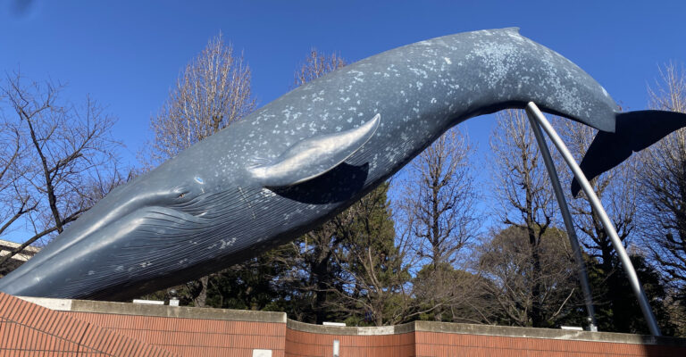 National Museum of Nature and Science (Ueno) with Kids: A Local Mom’s Guide